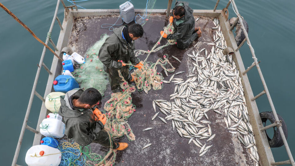 Av yasağına sayılı günler kala balık fiyatları arttı