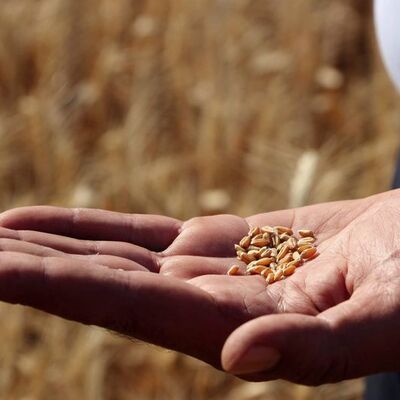 Tarıma kurtuluş reçetesi