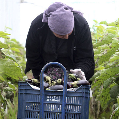 Üretime keskin dönüş, ticaret düzenleme