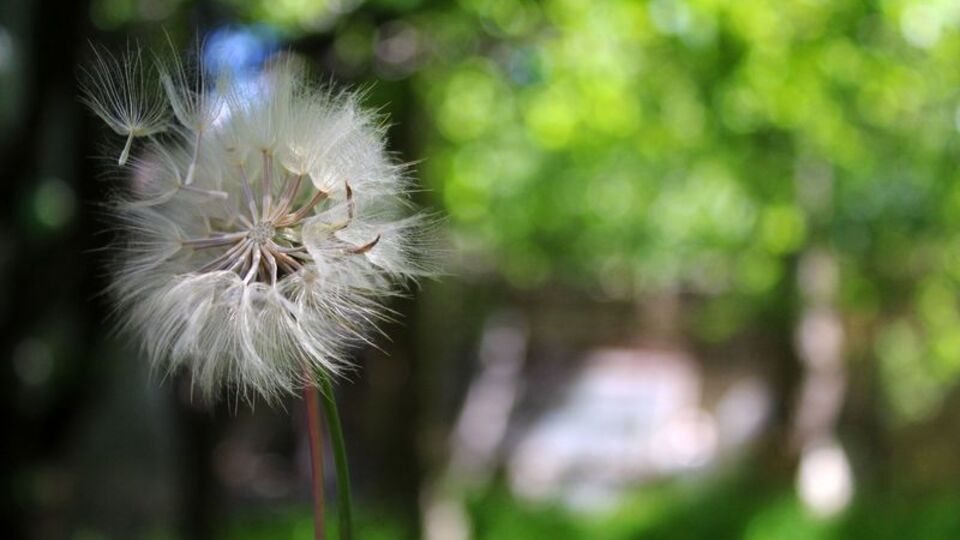 Meteoroloji bu uyarıyı ilk kez yaptı