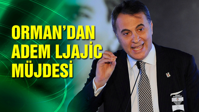 Fikret Orman'dan Ljajic müjdesi