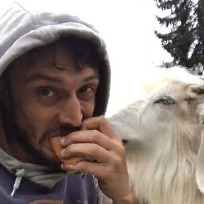 'Keçi inadı' dedikleri bu olsa gerek!