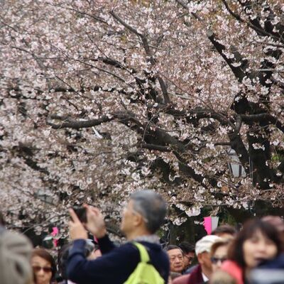 Yeniden doğuşun simgesi