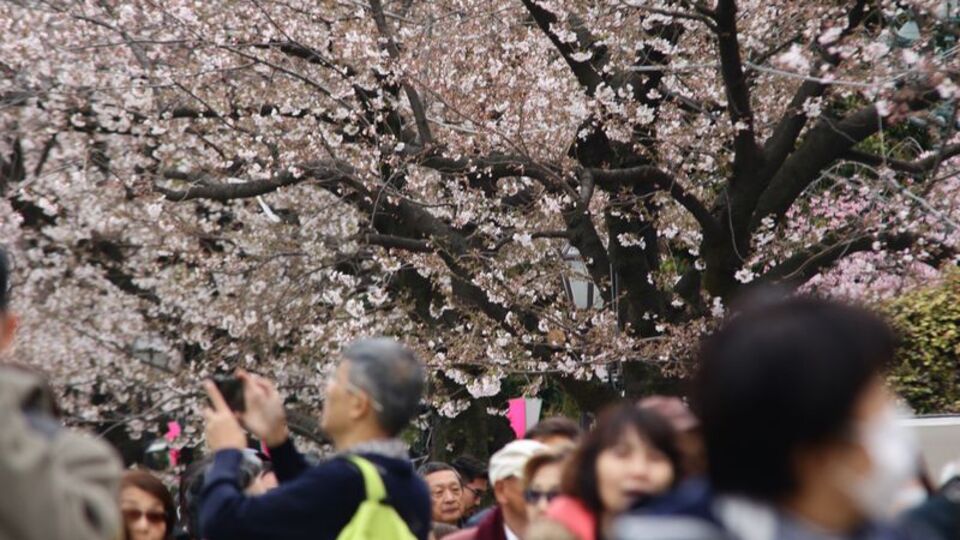 Yeniden doğuşun simgesi