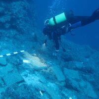 Dünyada sadece 5 örneği var