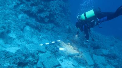 Dünyada sadece 5 örneği var