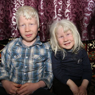 Beyaz melekler güneşe hasret!