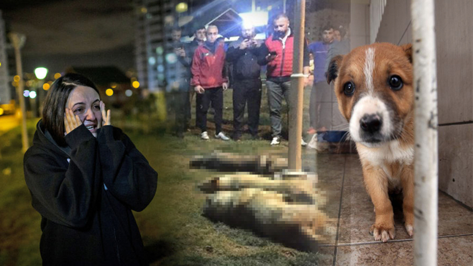 Üç ayda 18 ilde 122 cinayet!