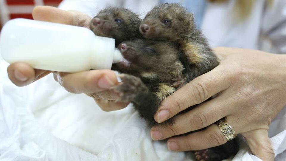 Yol çalışması sırasında enkazda bulundular