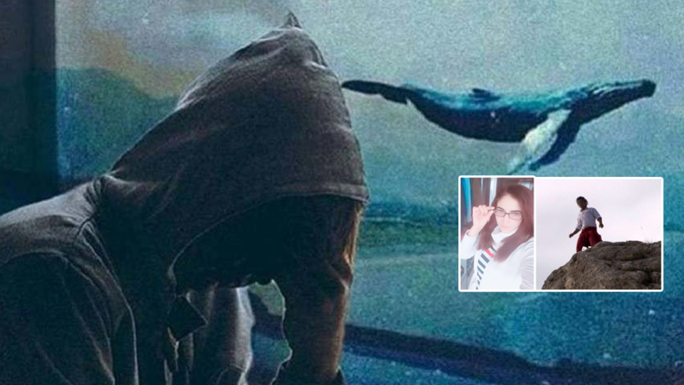 "Mavi Balinada Türk operatörler var!"