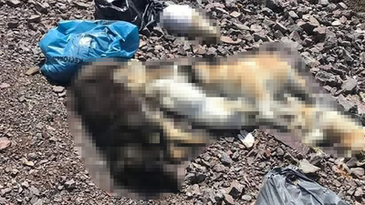 Ankara'da yine katliam!