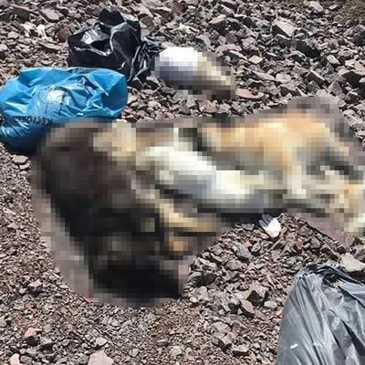 Ankara'da yine katliam!