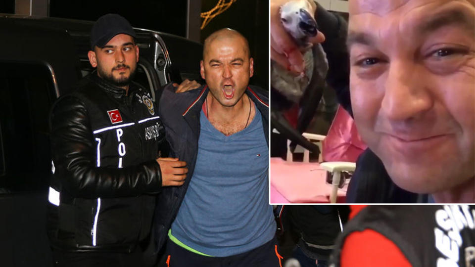 Papağan kararı: Kovuşturmaya yer yok!