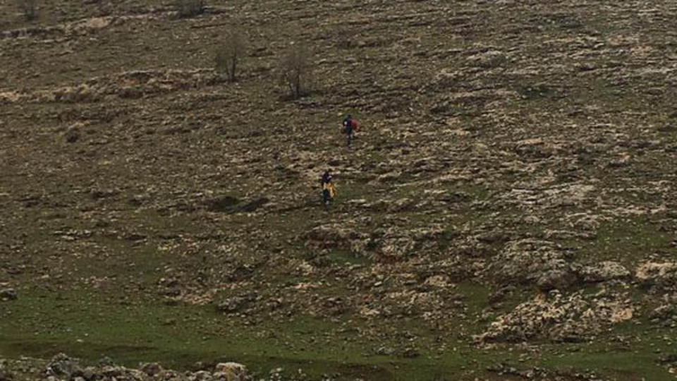 Hayvan otlatmaya gitti, ölü bulundu