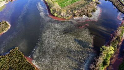Kuş cenneti ziyaretçilerini bekliyor