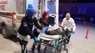 Kamyonetin çarptığı kadın öldü