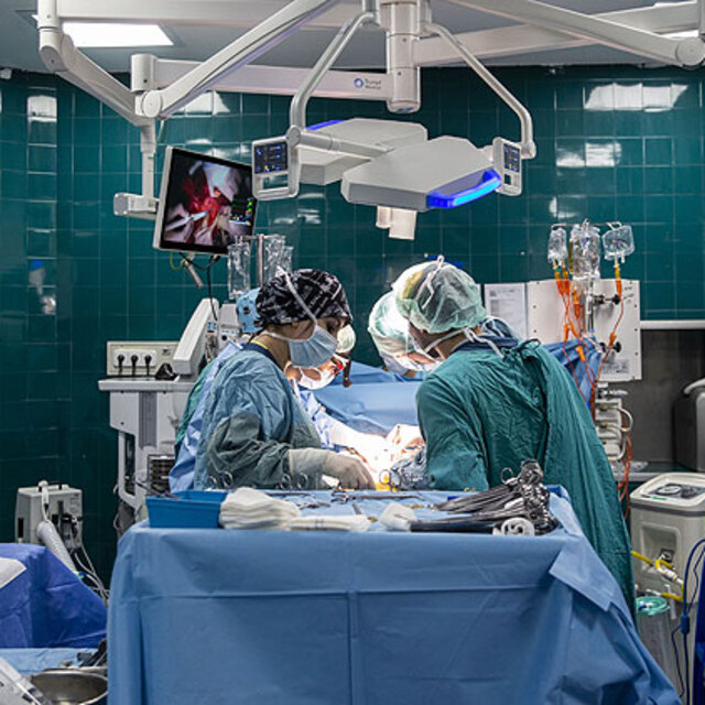 Sırp profesör şifayı Türkiye'de buldu