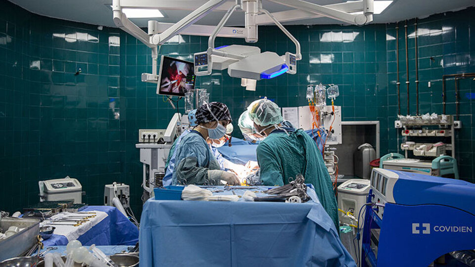 Sırp profesör şifayı Türkiye'de buldu