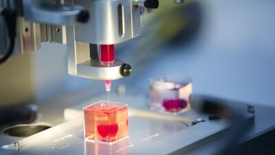 Organ nakli için devrimci buluş!