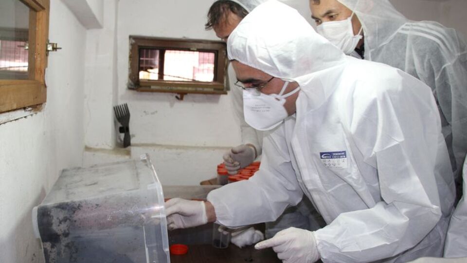 İstanbul'un yeni muhafızları!