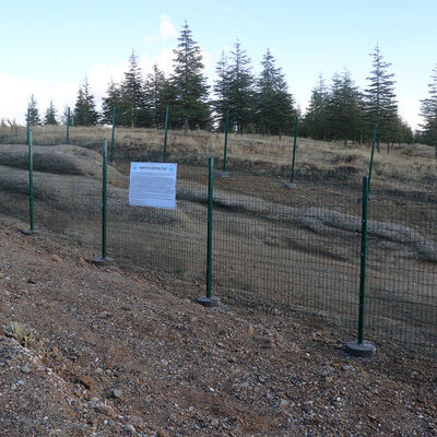 Efsanevi 'Ejderha Taşı'nda operasyon