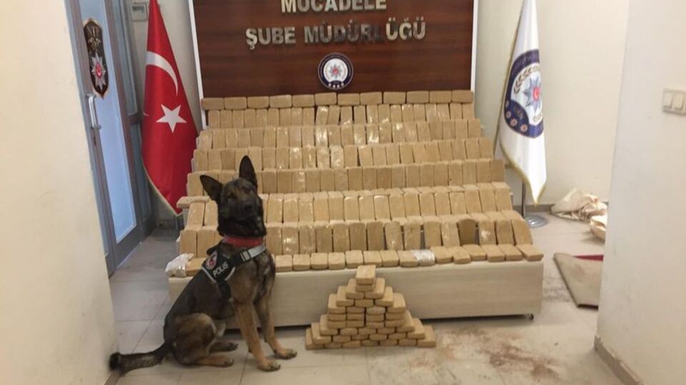 'Rexo'nun burnu affetmez tam 155 kilo!