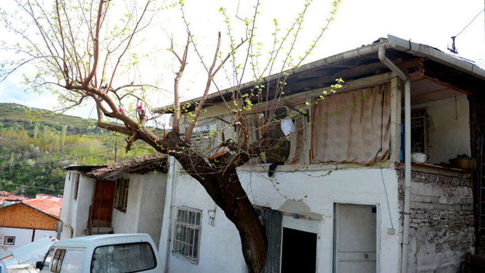 Baba hatırası ağaca kıyamıyor