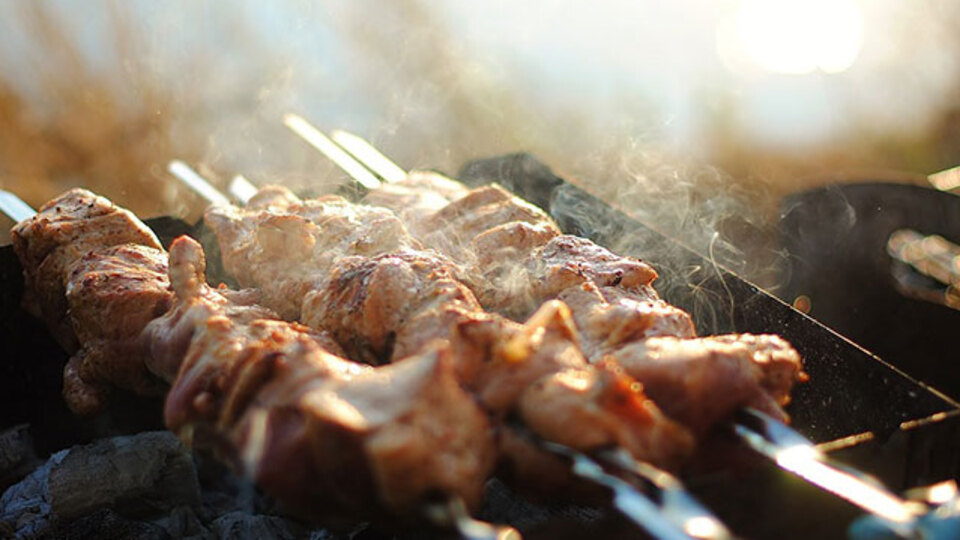 Mangal keyfinin cezası 13,5 milyon Euro!