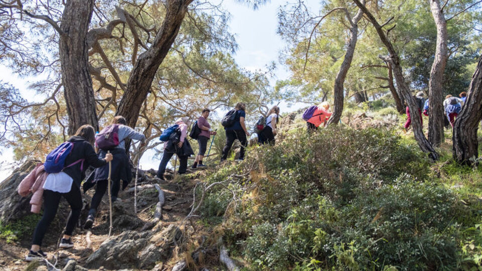 Adını doğaseverler koydu! Gizemini koruyor