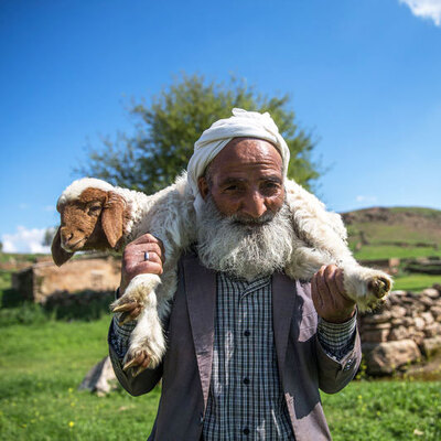 5 bin lira aylığa çoban bulamıyorlar