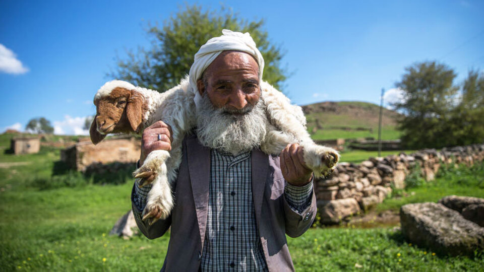 5 bin lira aylığa çoban bulamıyorlar