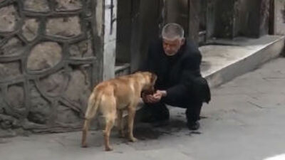 Taksiciden susayan köpeğe yürekleri ısıtan yardım