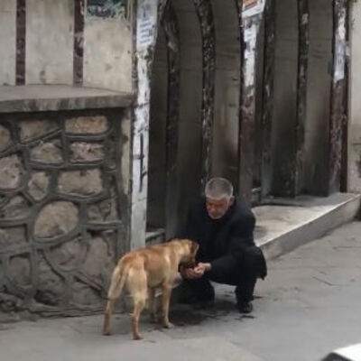 Taksiciden susayan köpeğe yürekleri ısıtan yardım