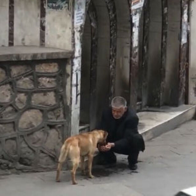 Taksiciden susayan köpeğe yürekleri ısıtan yardım