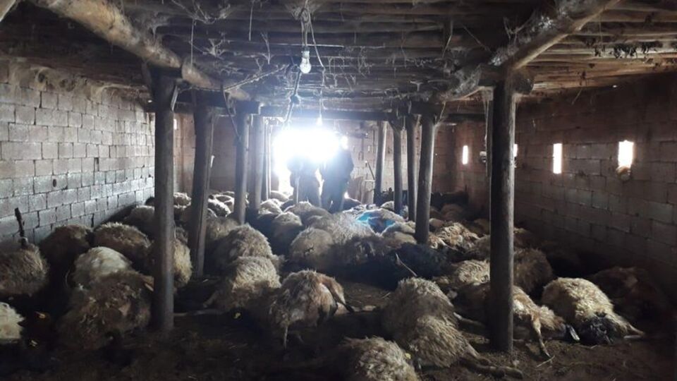 Korkunç saldırı! Gözlerine inanamadı...