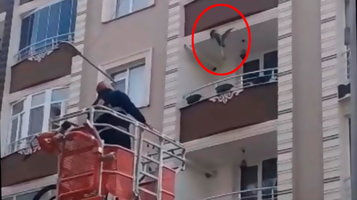 Neden? Saatlerce çırpınarak kurtulmaya çalıştı!