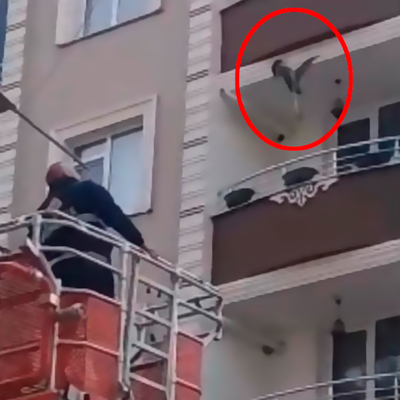 Neden? Saatlerce çırpınarak kurtulmaya çalıştı!