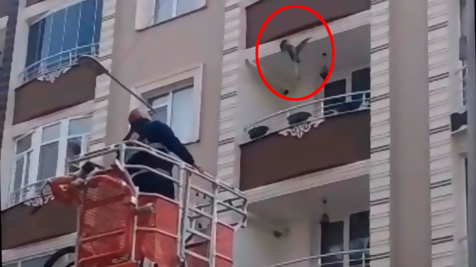 Neden? Saatlerce çırpınarak kurtulmaya çalıştı!