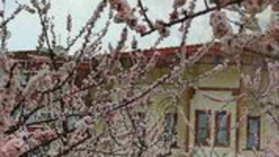 Batı'da bahar, doğuda kış havası!