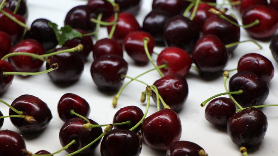 Kiraz ihracatında hedef 300 milyon dolar