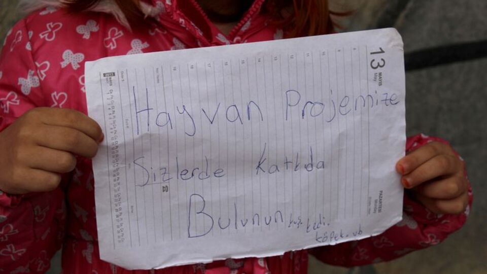 Hayvanlar için kitaplarını satıyorlar