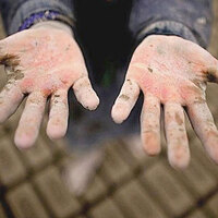 En fazla çocuk işçi tarım sektöründe