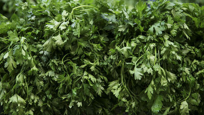 Maydanozun faydaları ve zararları nelerdir?