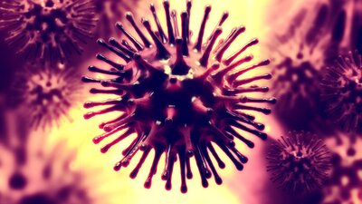 Nijerya'da kızamık salgını!