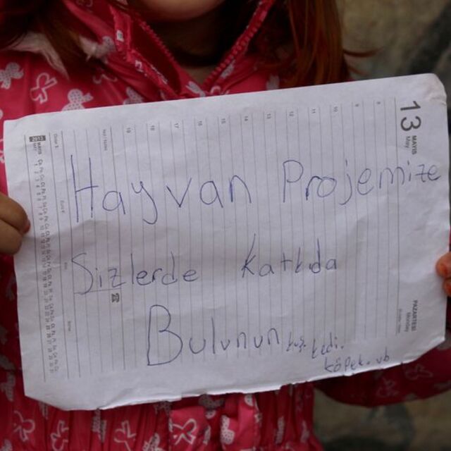 Hayvanlar için kitaplarını satıyorlar