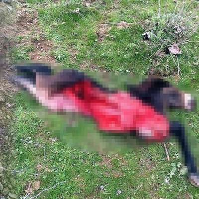 Tüfekle katlettiler, parçalayıp satacakken yakalandılar
