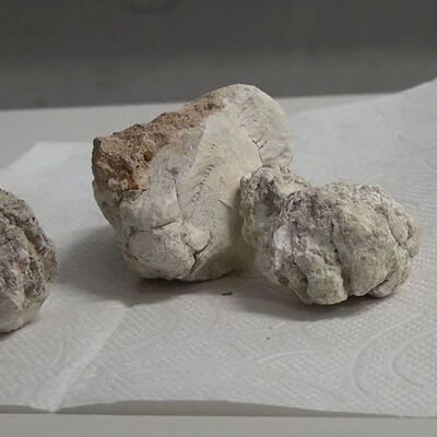 Lületaşı ve yumurta kabuğundan üretti