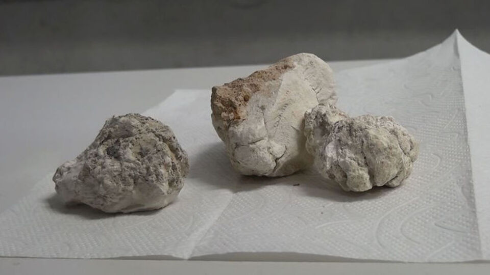 Lületaşı ve yumurta kabuğundan üretti