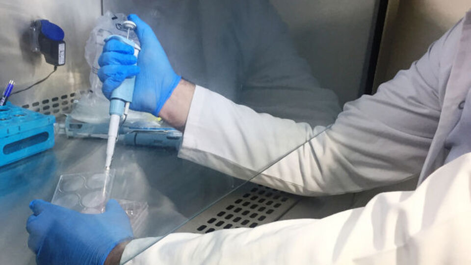 Bilim insanları: Daha uzun yaşam gen tamiriyle mümkün