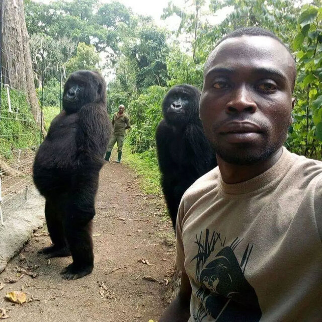 İnterneti sallayan selfie!